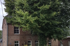 20160903_Landluft_14_Hof