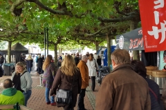 Fast der gesamte Street Food Markt findet unter Bäumen statt